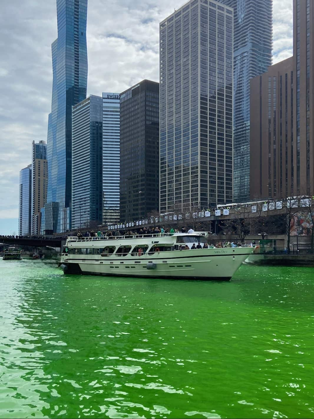 Navy Pier and City Skyline